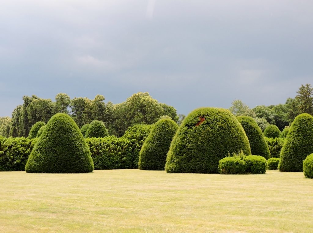 Kegelförmige Bäume im Park von Schloss Esterházy Ungarn
