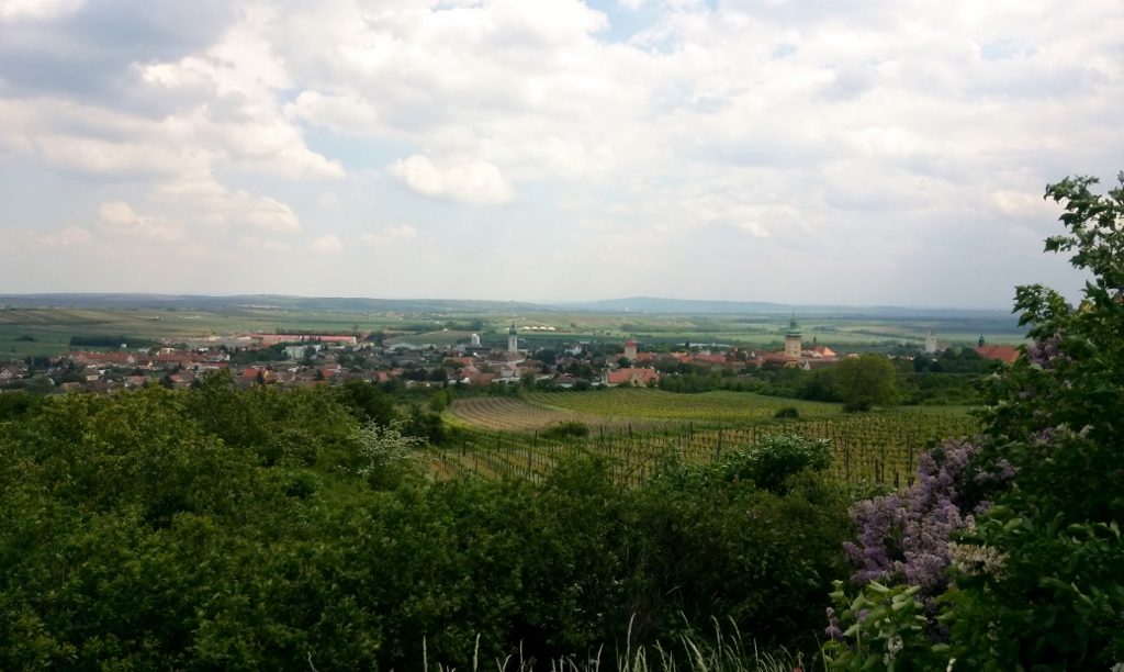 Blick vom Kalvarienberg ins Wein Gebiet Retz