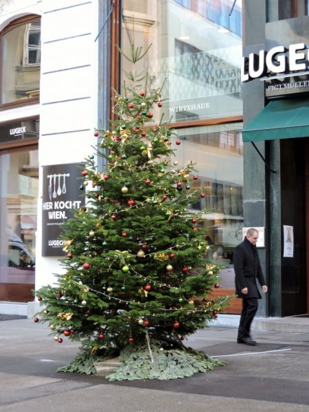 Weihnachtsbaum_Wien