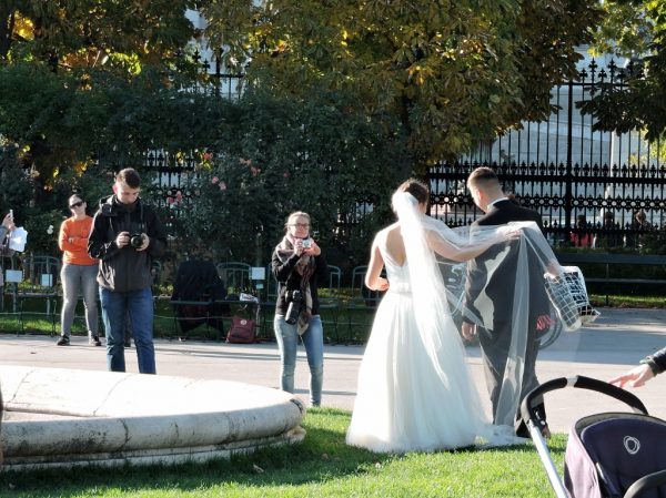 Hochzeitspaar läßt sich im Park fotografieren_Wien