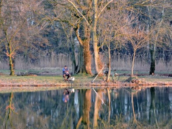 Angler in den Teich-Landschaften in Sarvar, Ungarn