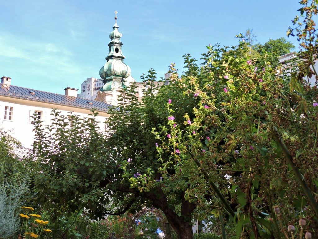 Blick auf St. Peter Kirche Salzburg