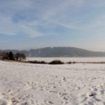Winter im Wenger Moor