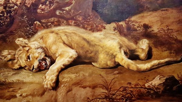Löwin aus Ausstellung "Rubens bis Makart"