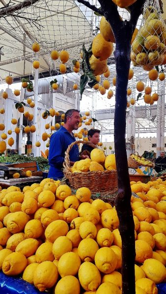 Marktstand mit Zitronen