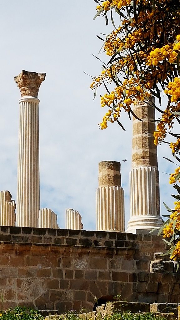 römische Säulen, Tunis Ausflugsziele
