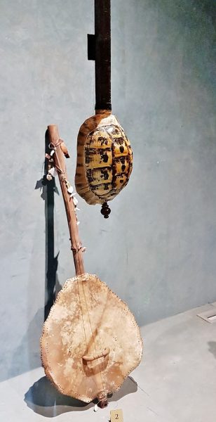 Musikinstrumente aus Schildkrötenpanzer