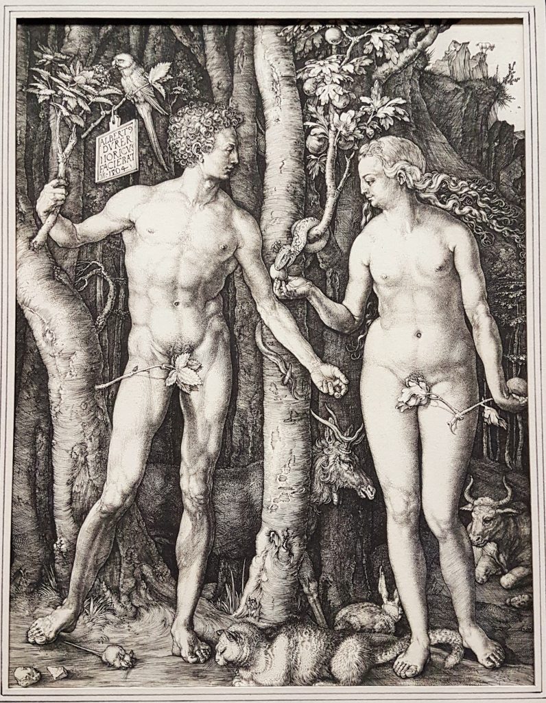 Grafik von Albrecht Dürer