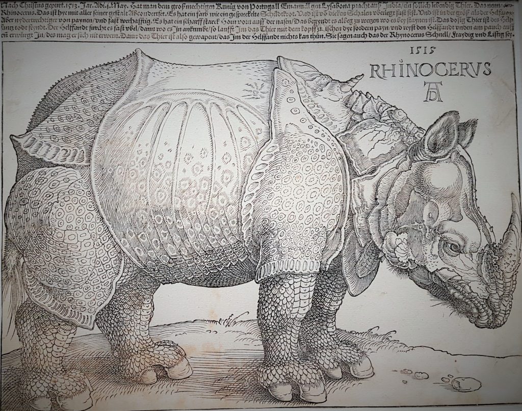 alte kunstvolle Zeichnung eines Rhinozeros