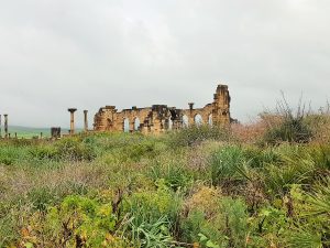 Ruine inmitten grüner Landschaft