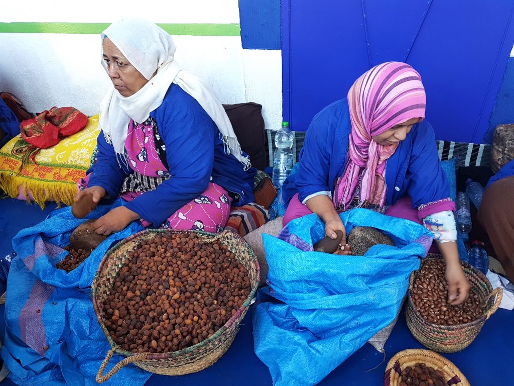 marokkanische Berber-Frauen bearbeiten Argannüsse