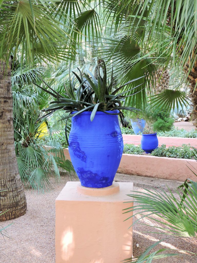 kobaltblaue Vase mit Kaktus unter Palmen im Garten Majorelle