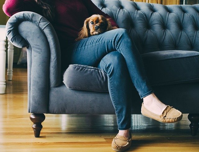 Frau mit Hund auf einer Couch