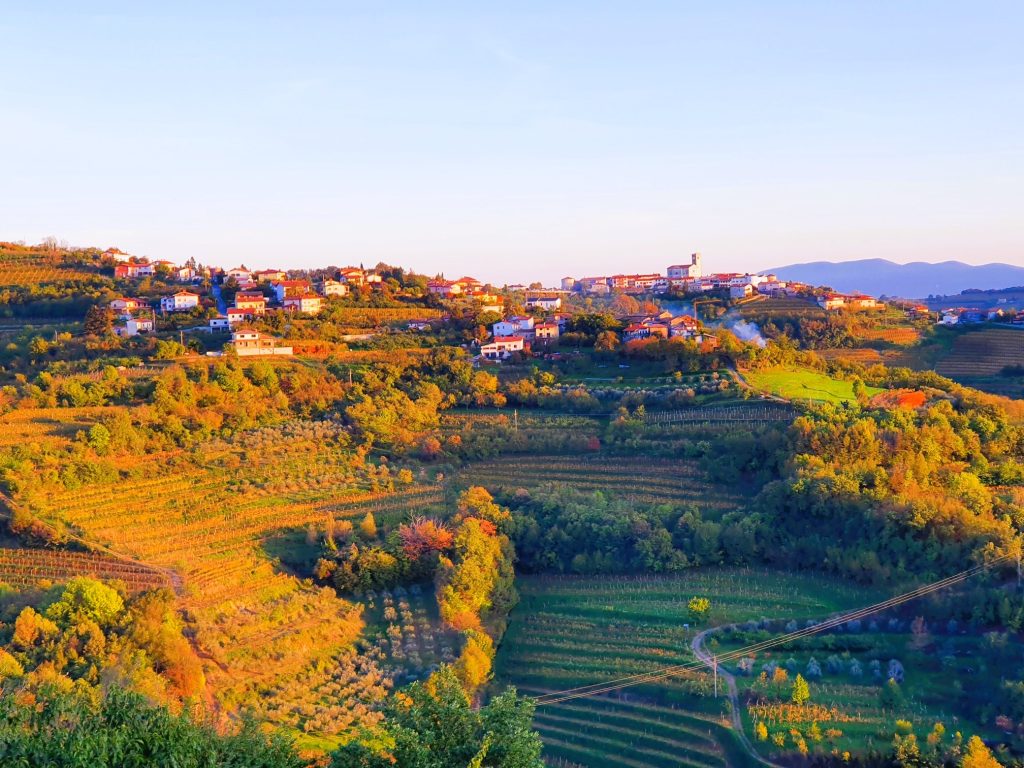 herbstliche Hügellandschaft mit Weinbergen und Dorf Smartno, Wein Goriška Brda