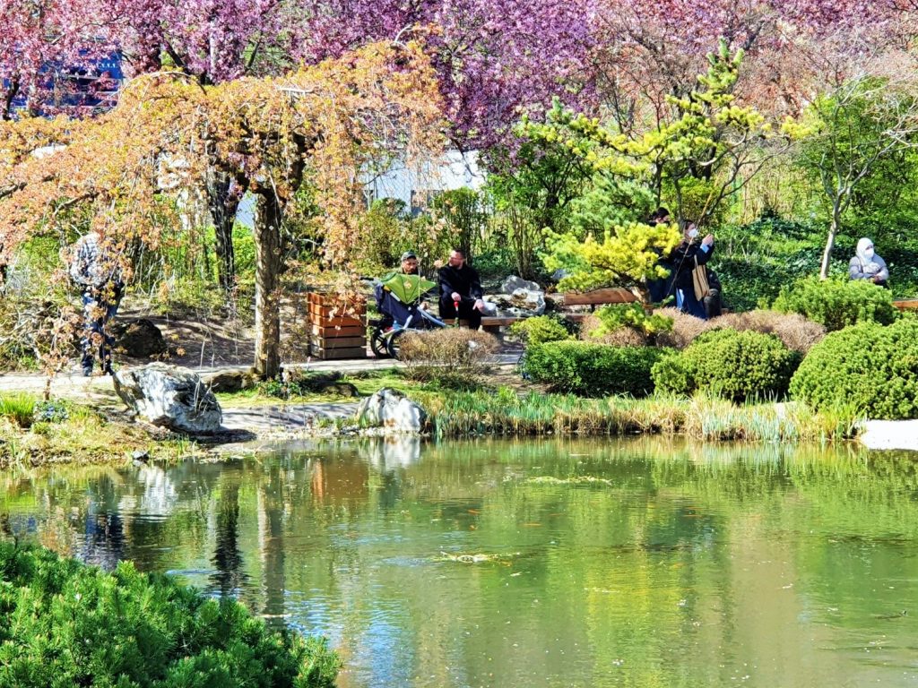 japanischer Garten mit Teich