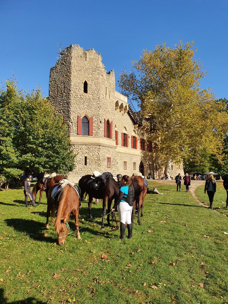 eine Burgruine, davor Pferde mit ihren Reitern