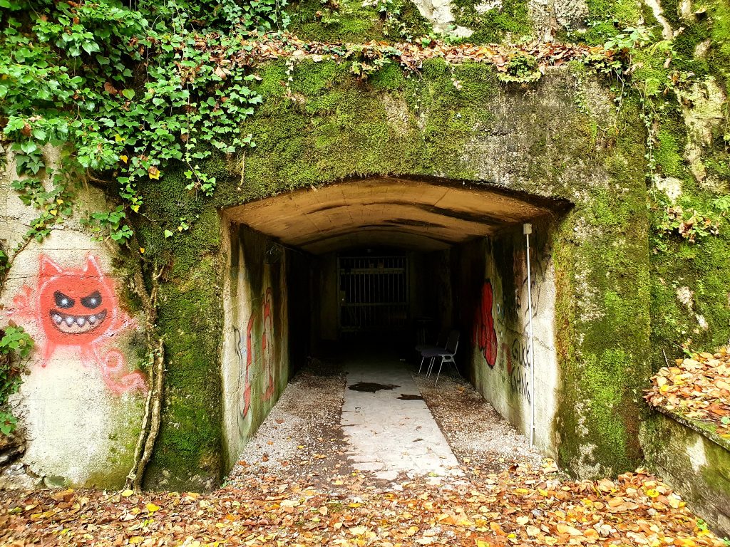 Tunnel-Eingang mit Pflanzen bewachsen