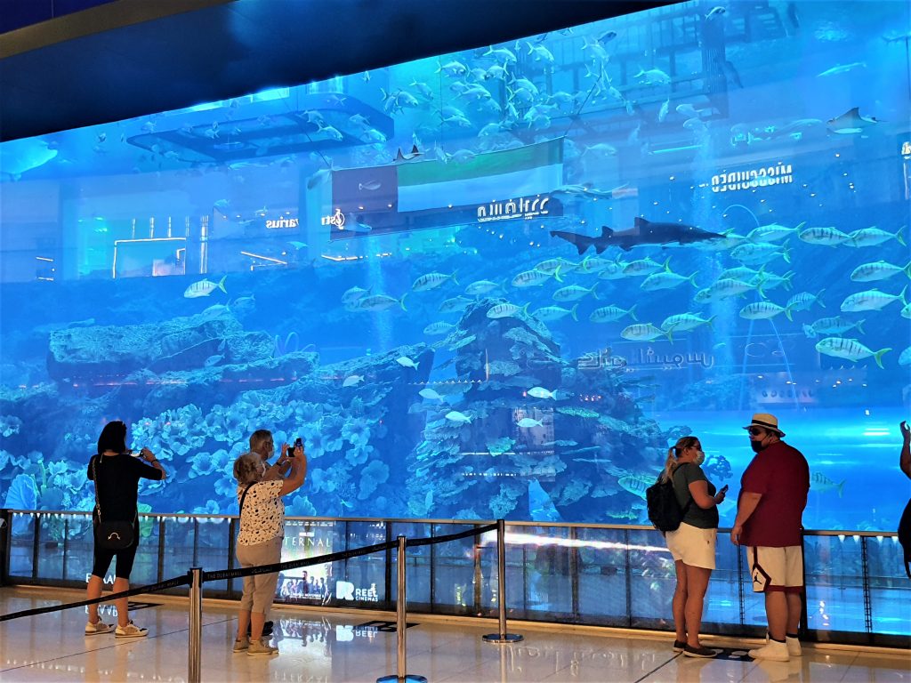 Menschen schauen in ein gigantisches Aquarium