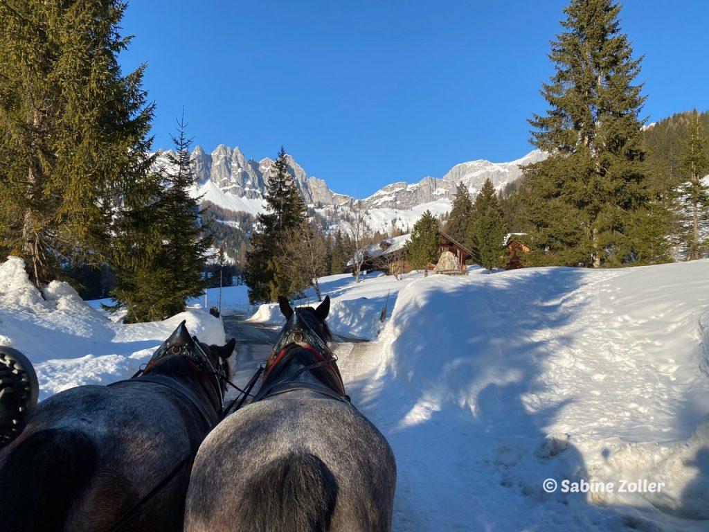 Pferdeschlittenfahrt in Schneelandschaft