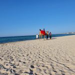 Kamele am Strand von Djerba Island