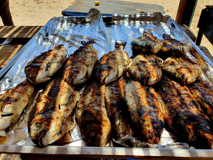 frische Fische zum Grillen, Djerba Island