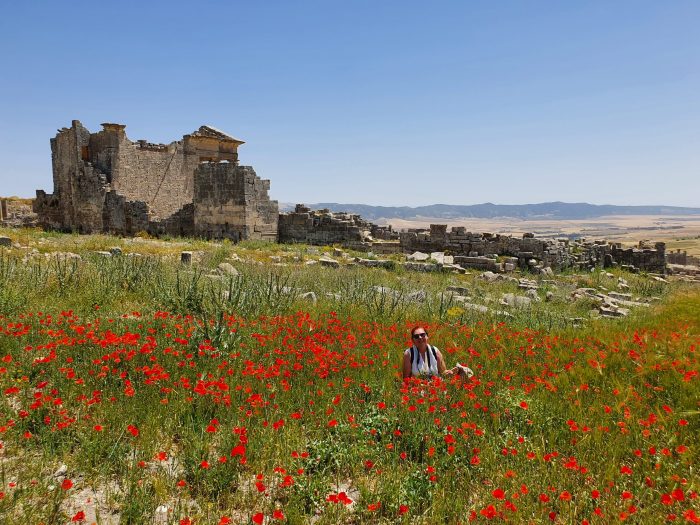 mediterrane Wiese mit Mohnblumen und antiker Ruine