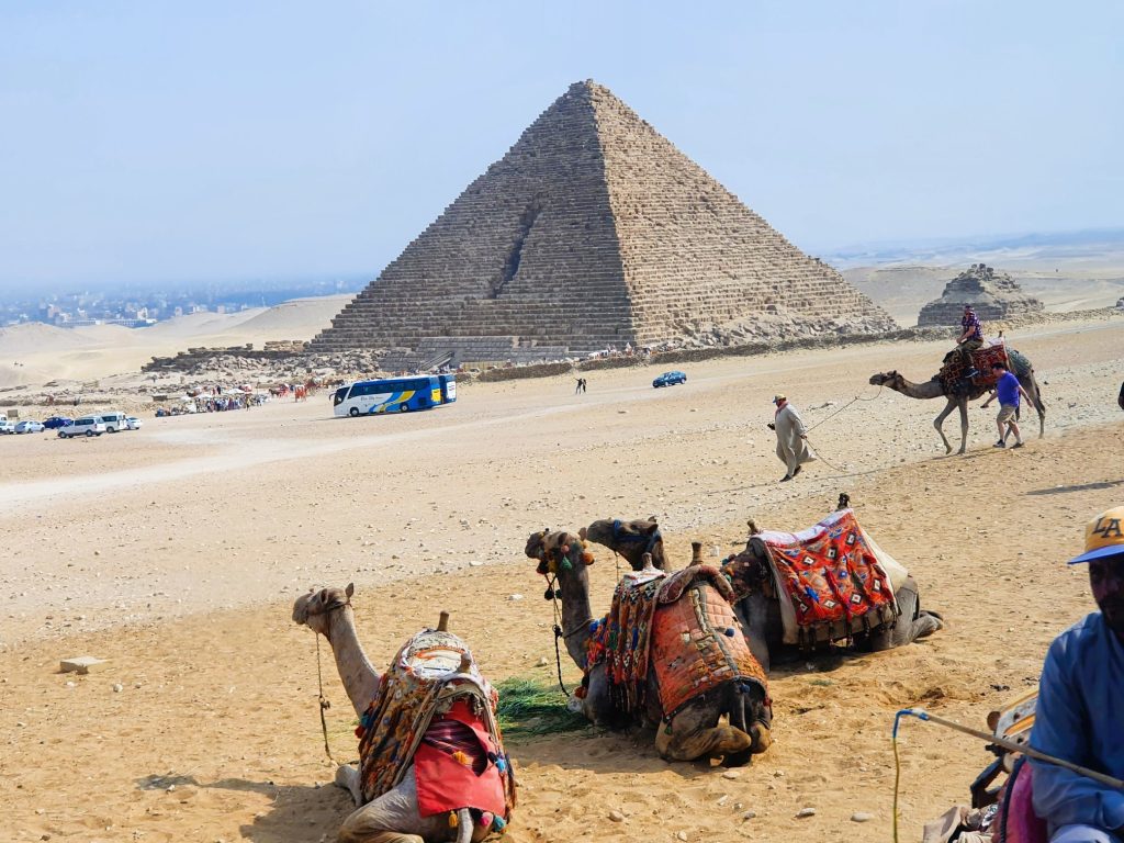 Kamele in der Wüste bei der Pyramide von Gizeh
