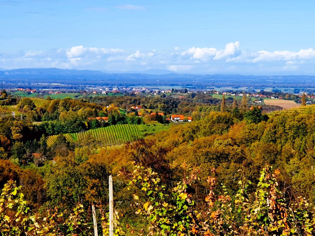 herbstliche Weinregion, Jeruzalem Slowenien