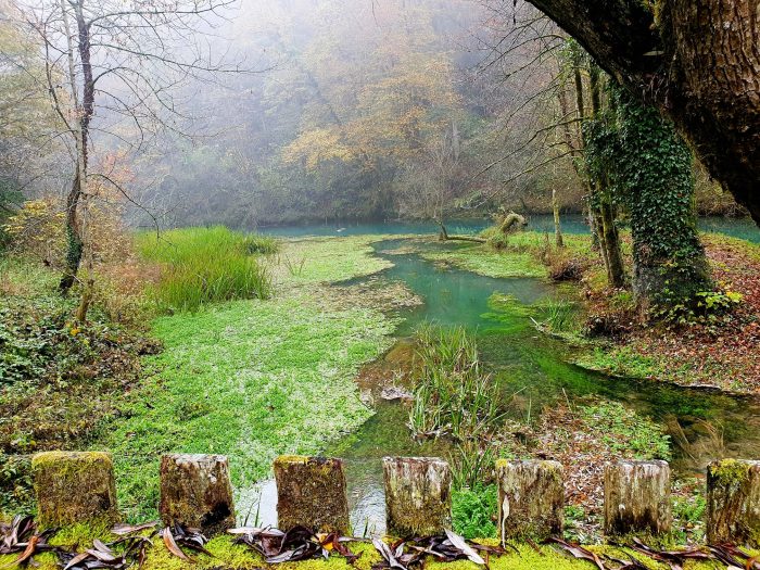 Natur an einer idyllischen Flusslandschaft, Bela Krajina Slowenien