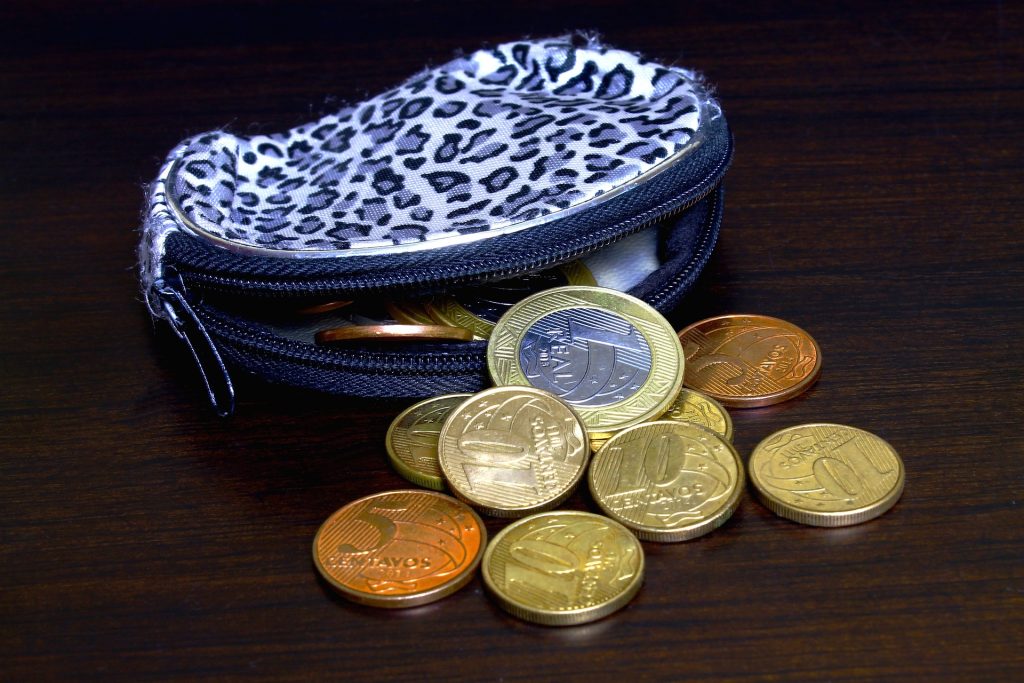 Geldtasche und Euro-Münzen, Geschenkinspirationen für Reisefans