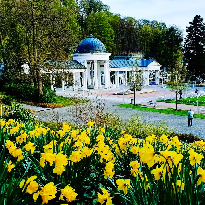gelbes Blumenbeet in einem Kurpark, Bäderdreieck Tschechien