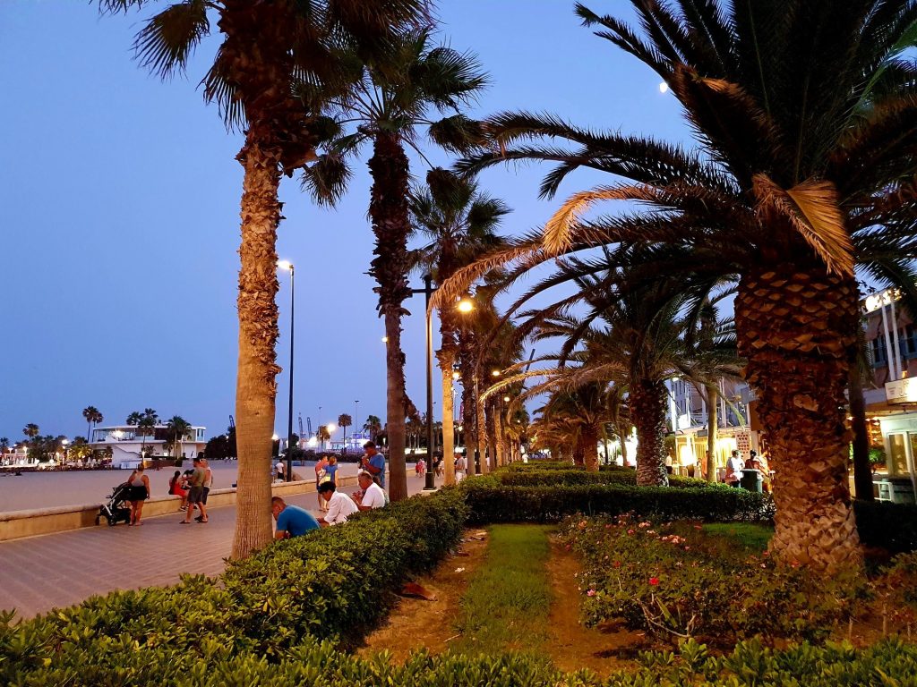 Promenade mit hohen Palmen, Strandurlaub Valencia