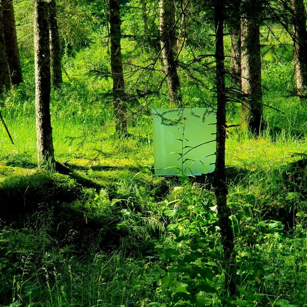 eine gläserne Kunstinstallation inmitten eines grünen Waldes