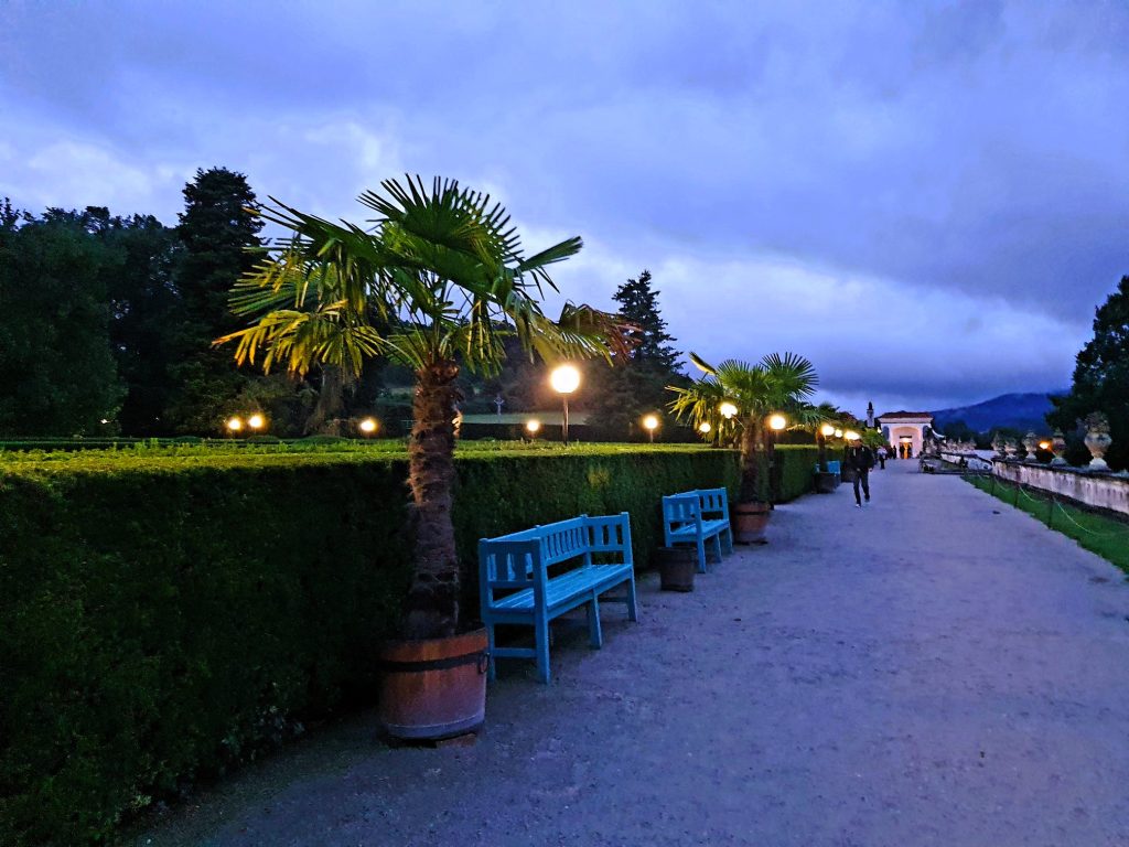 Schlosspark mit Palme im Abendlicht