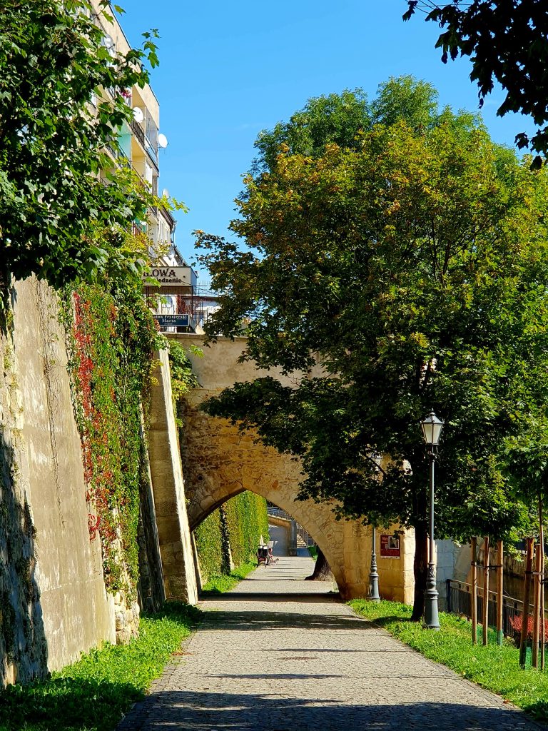 malerischer Blick auf eine alte Stadtmauer mit grünen Bäumen