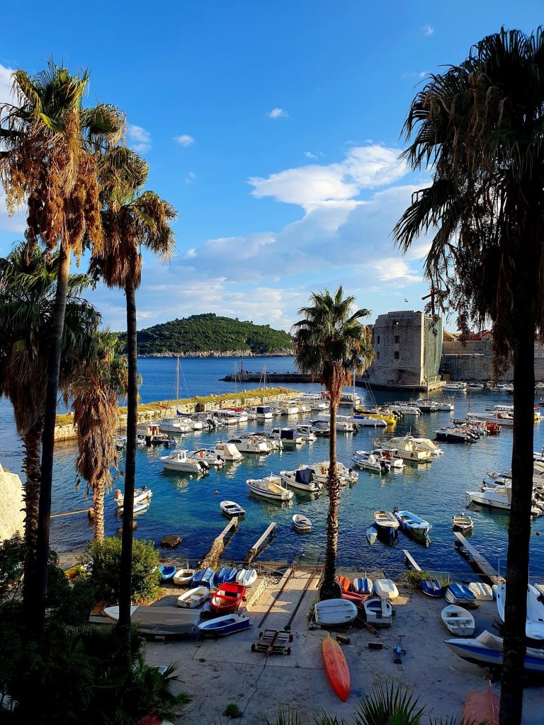 Blick zwischen Palmen hindurch auf Meer mit vielen Booten, Sehenswürdigkeiten Dubrovnik