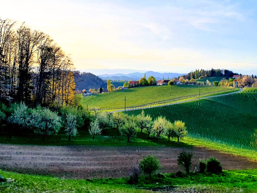 grüne Hügellandschaft im Frühling in der Südsteiermark, Ratscher Landhaus