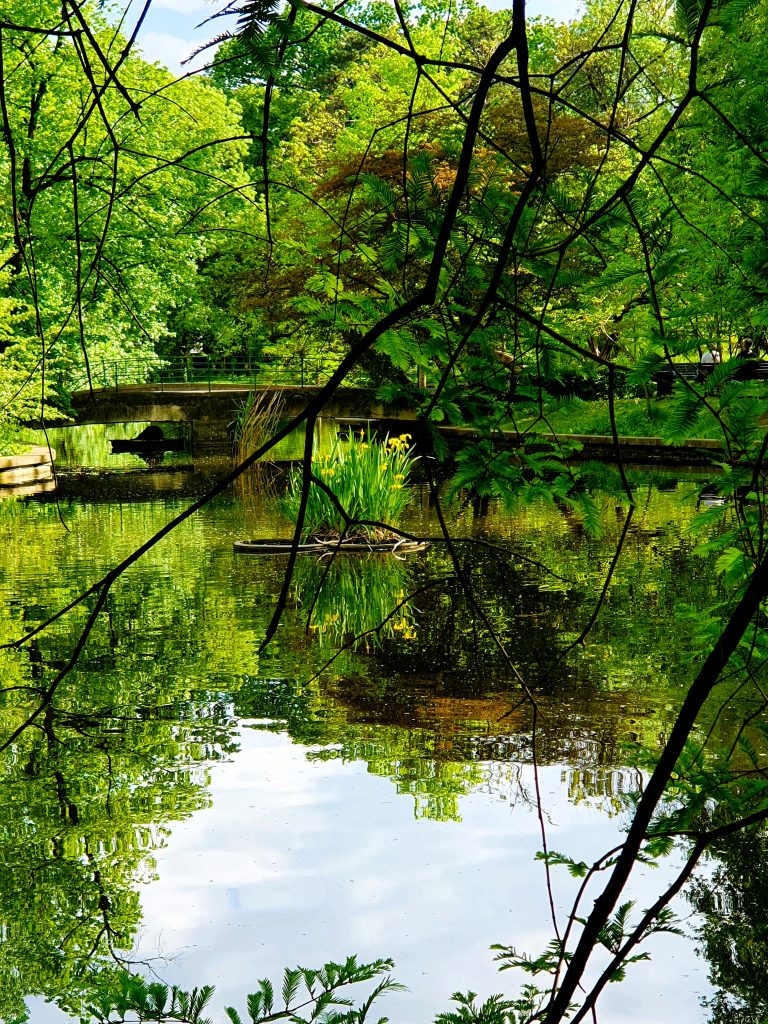 Biotop in einem botanischen Garten, Bukarest Reisetipps