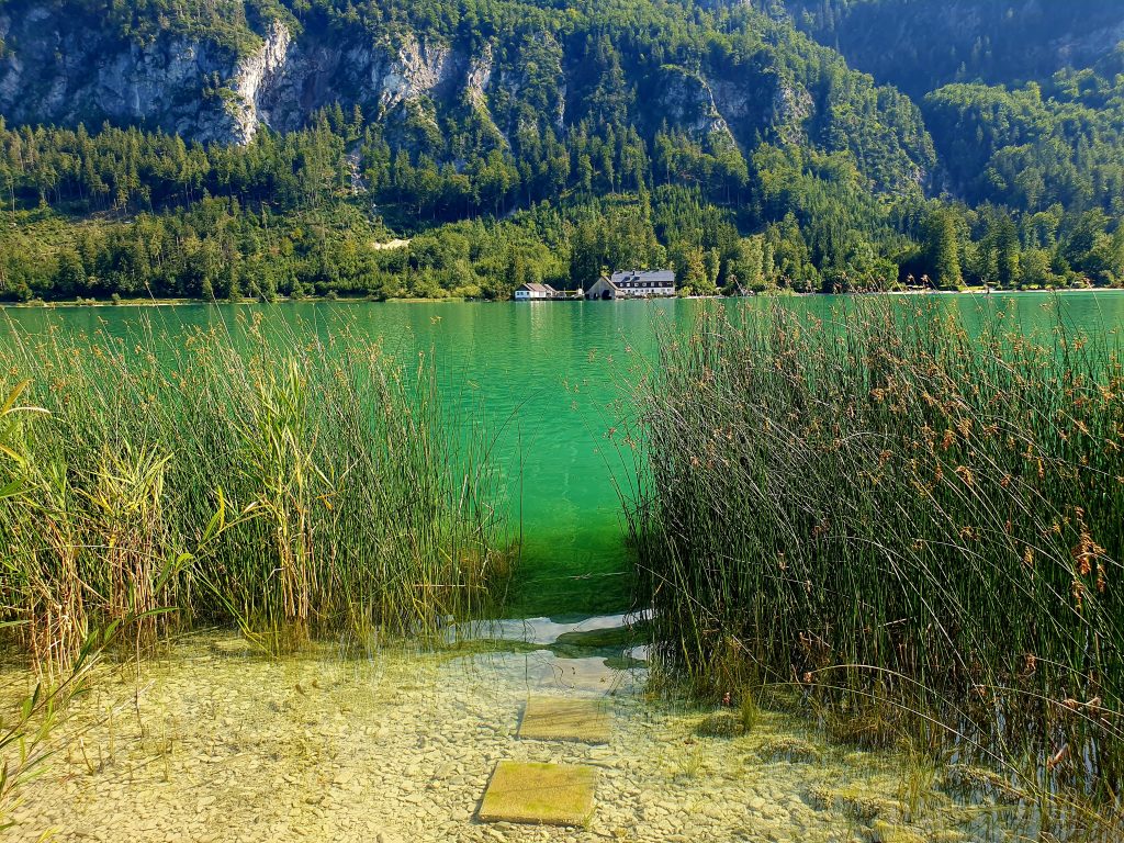 Steinplatten führen in den See