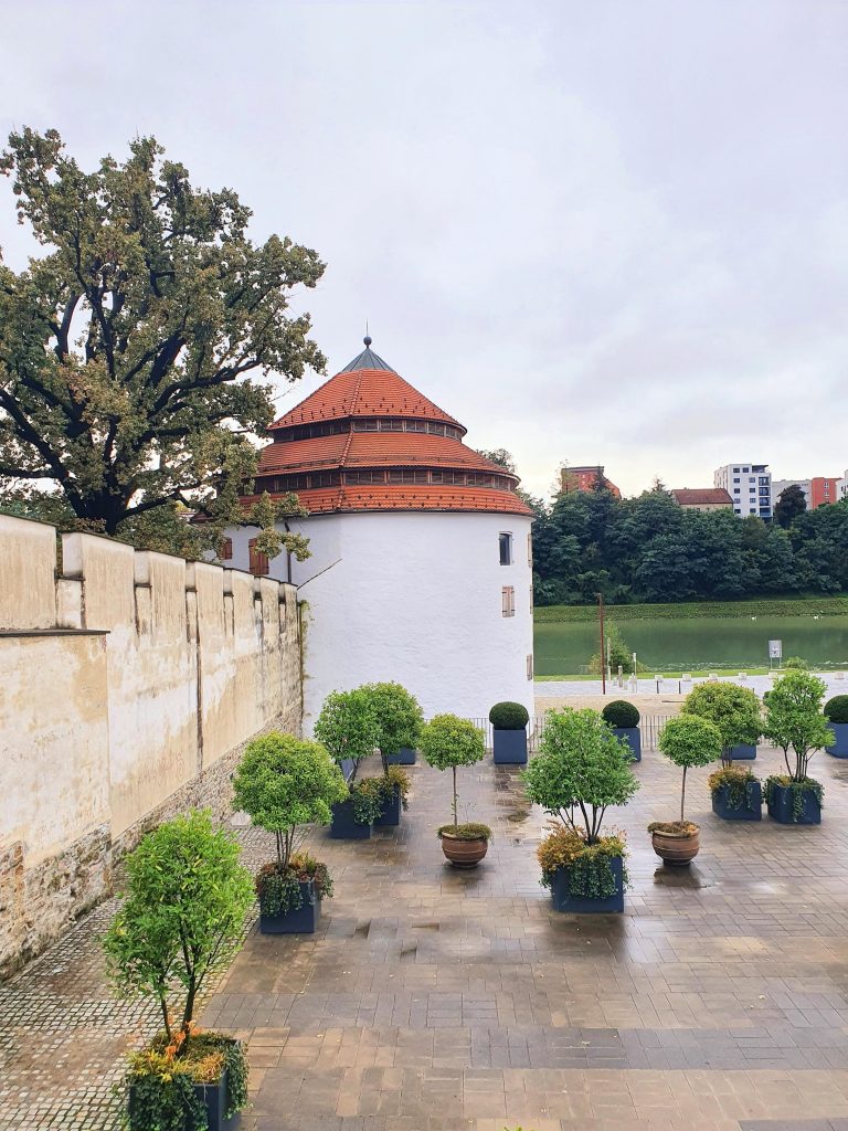 historischer Wasserturm mit alter Mauer und Grünpflanzen davor, Maribor